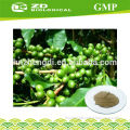 Nutritional Supplement green coffee bean extract capsules 50% chlorogenic acid